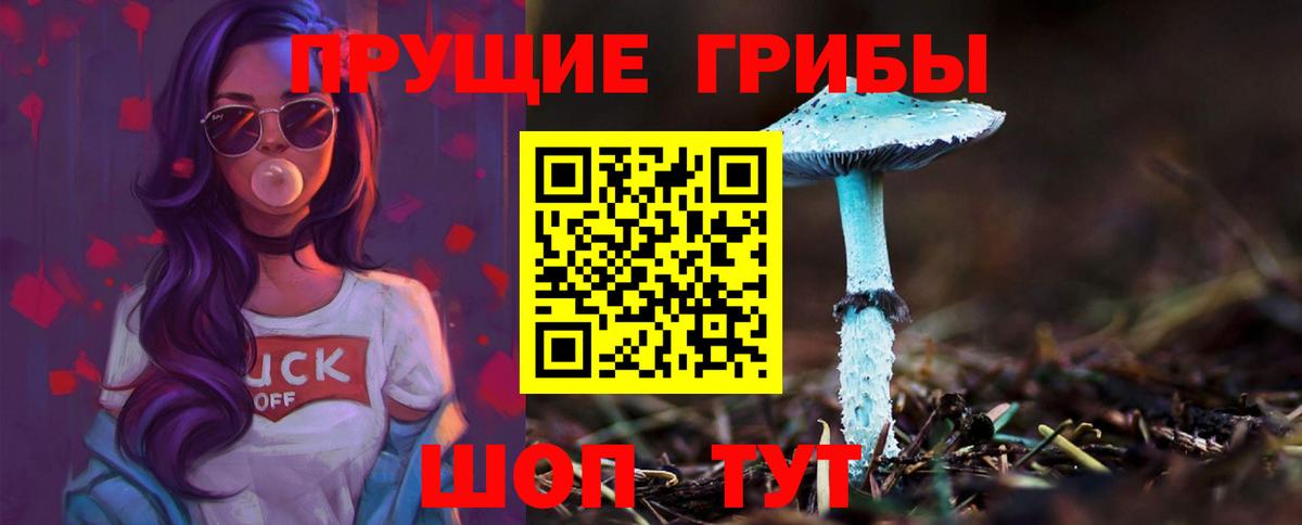 Псилоцибиновые грибы мицелий Первоуральск